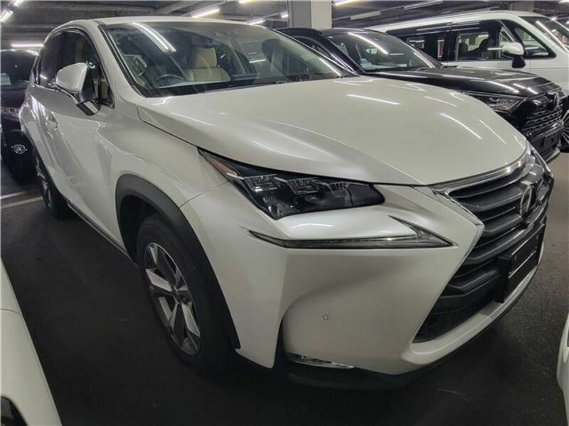 LEXUS　NX