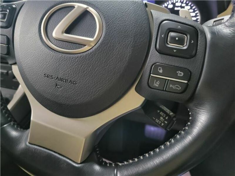 NX