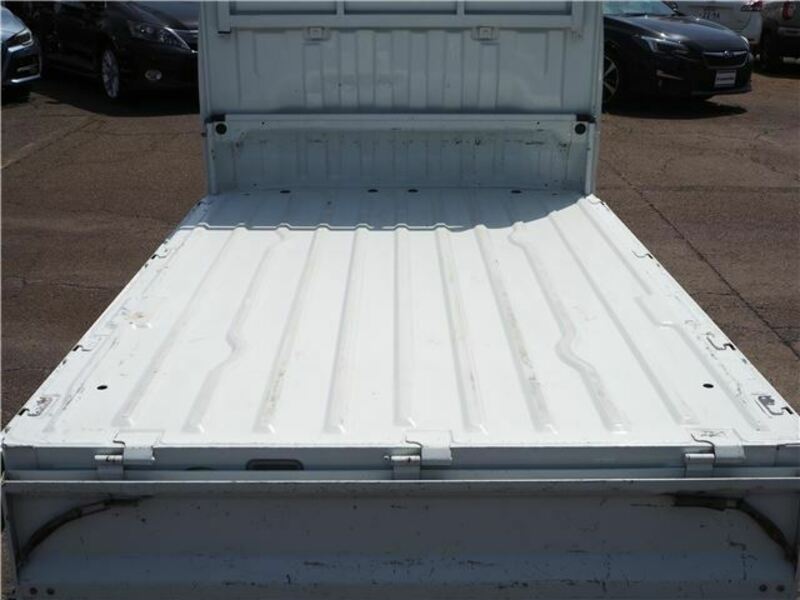 CARRY TRUCK-11