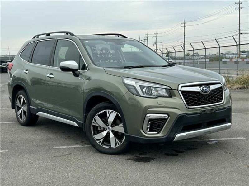 FORESTER