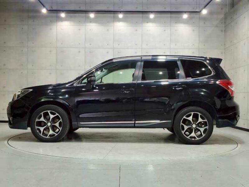 FORESTER-6