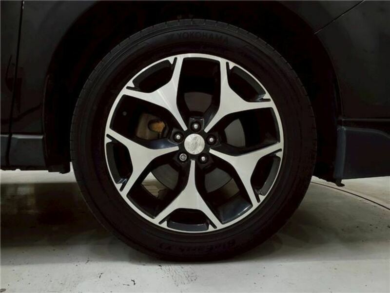 FORESTER-8