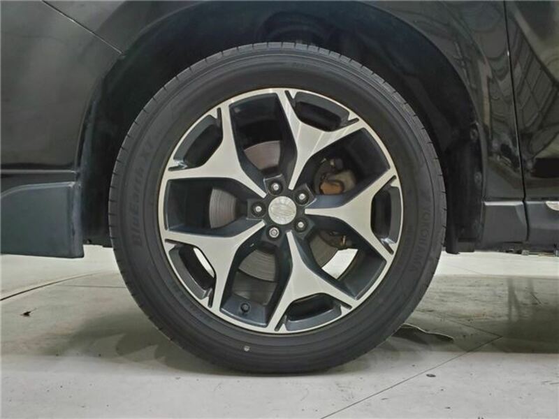 FORESTER-10