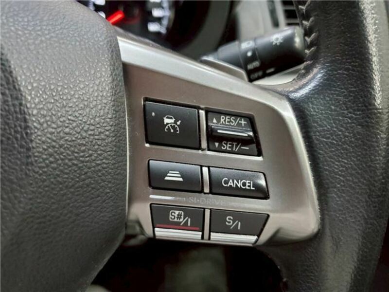 FORESTER-13