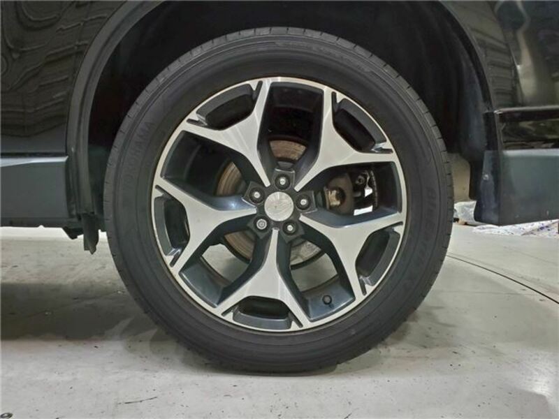 FORESTER-14