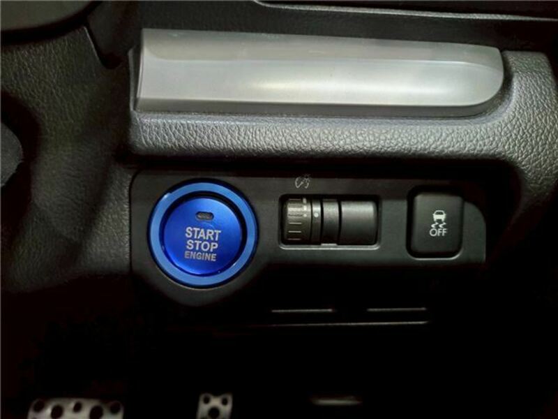 FORESTER-17
