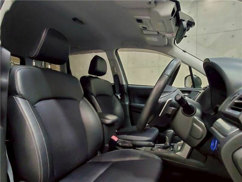 FORESTER-36