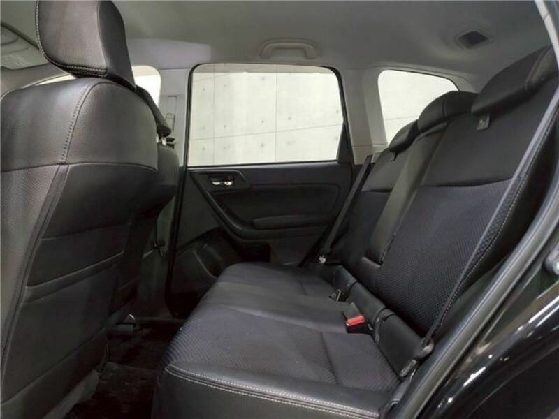FORESTER-43