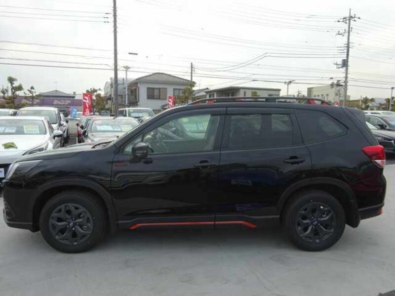FORESTER