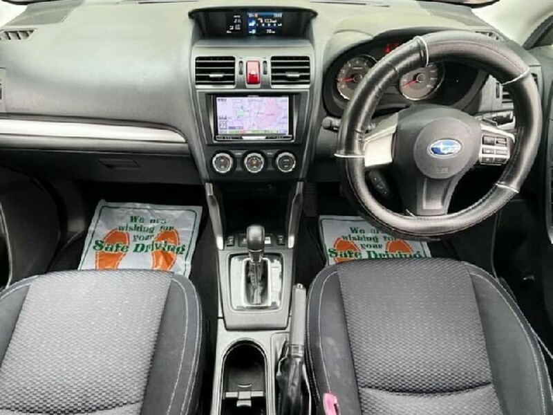 FORESTER-1