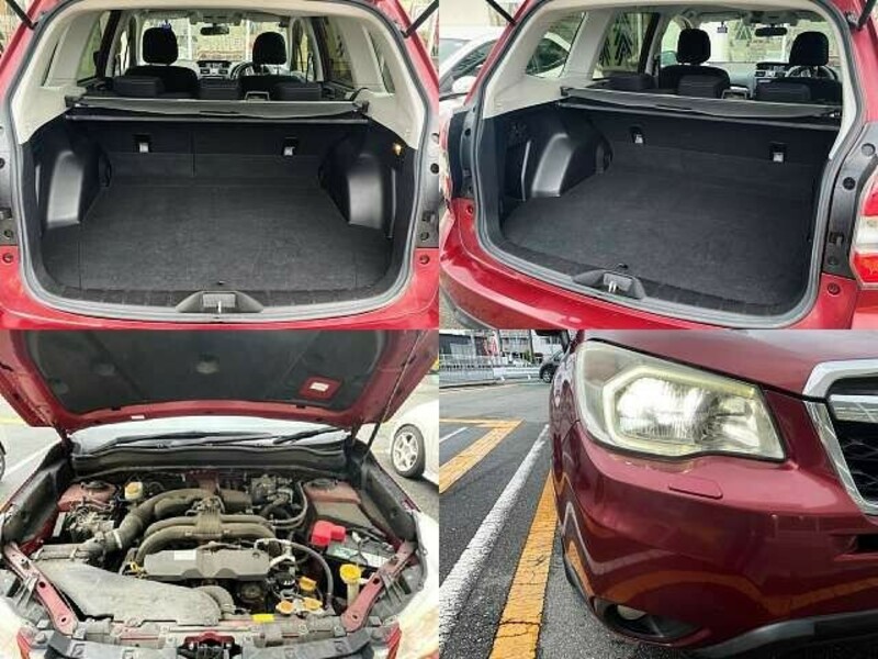 FORESTER-4