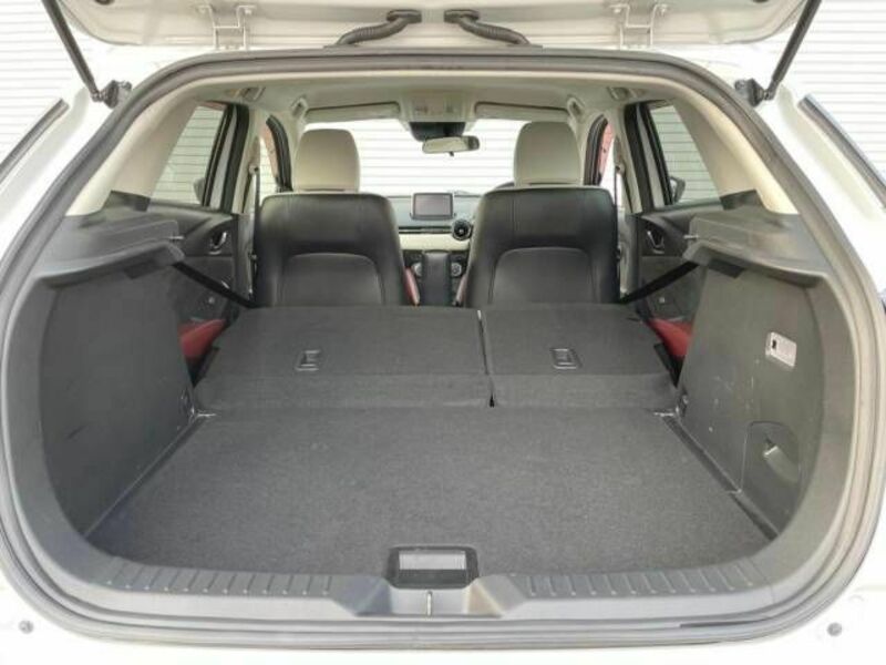 CX-3-10