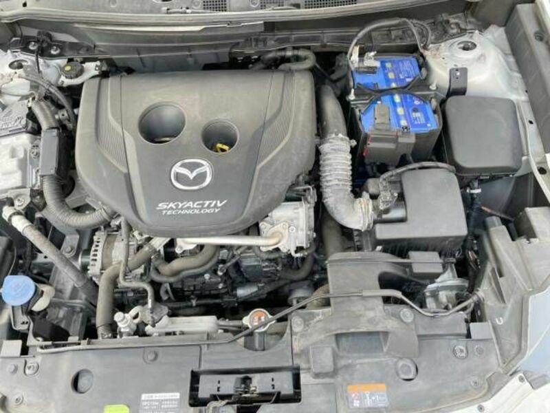 CX-3-17