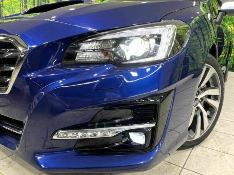 LEVORG