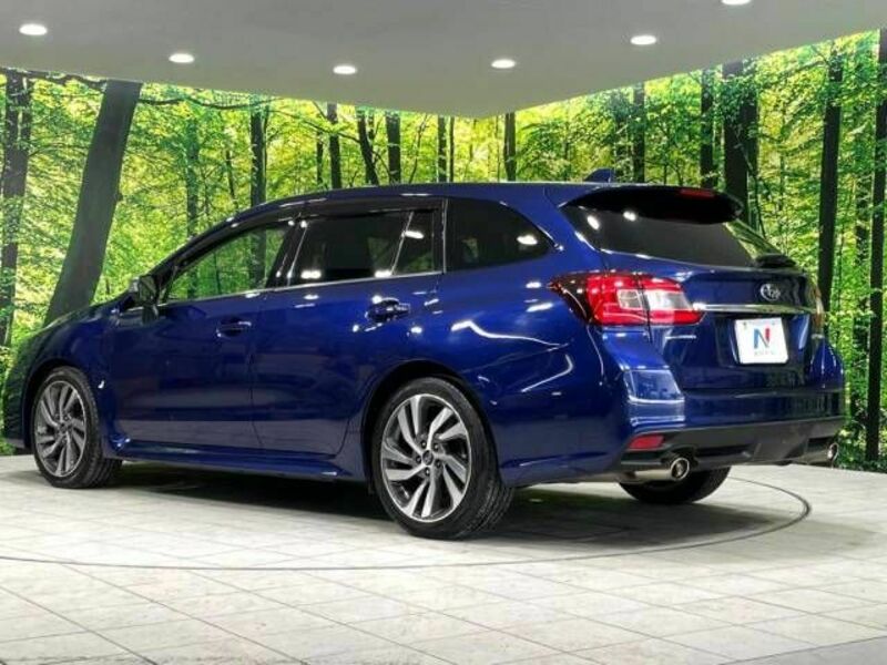 LEVORG