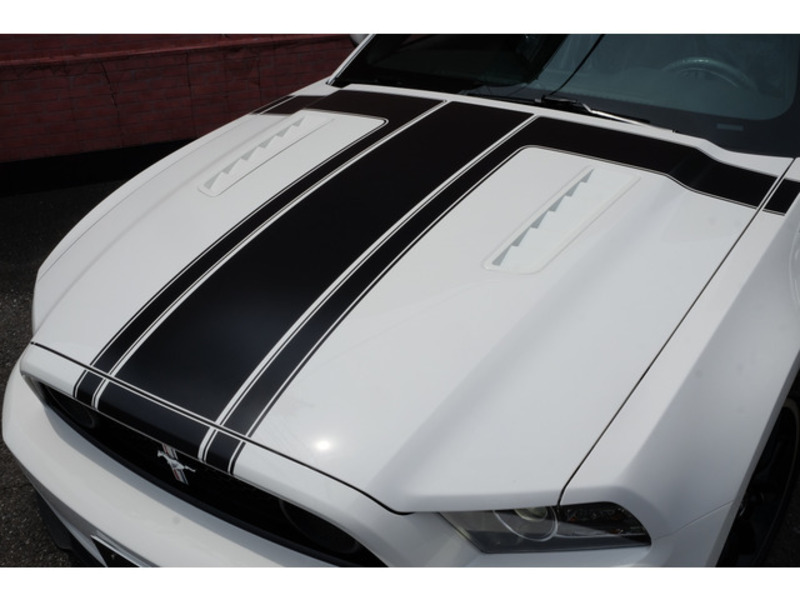 MUSTANG