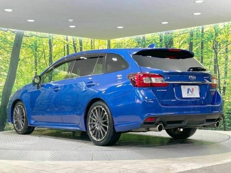 LEVORG