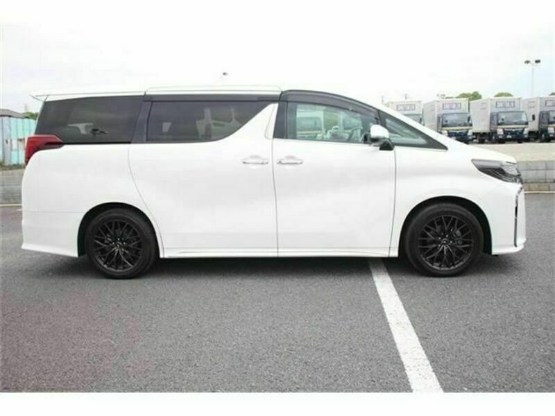 ALPHARD-10