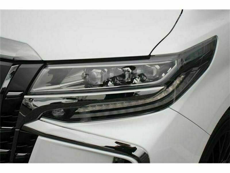 ALPHARD-12