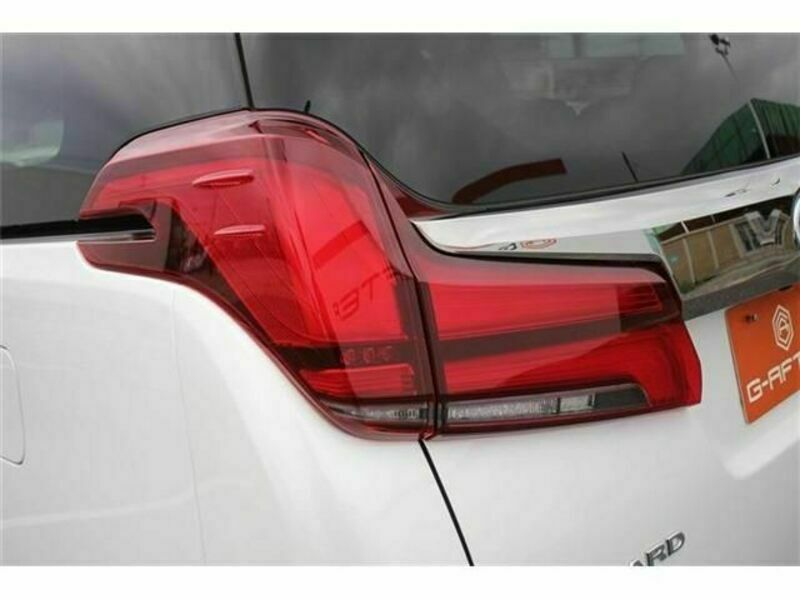 ALPHARD-13