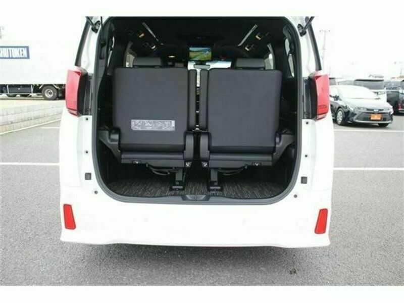 ALPHARD-17