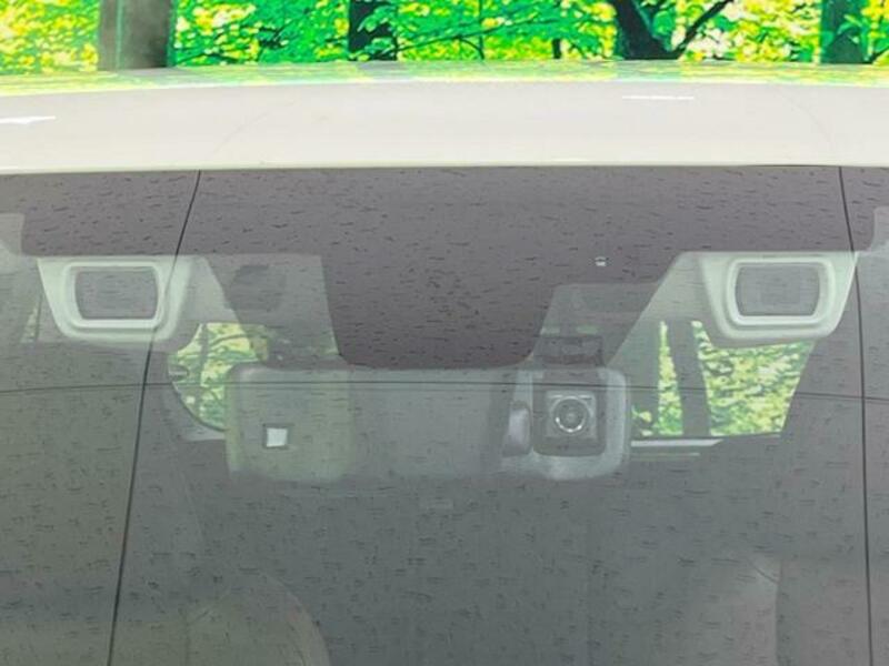 FORESTER-2