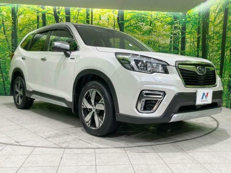 FORESTER-17