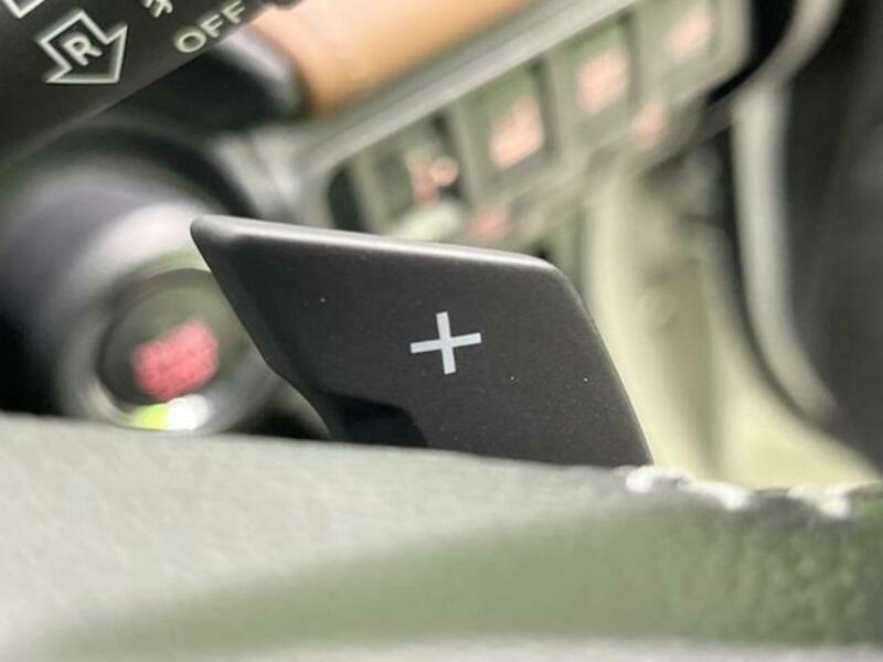 FORESTER-7