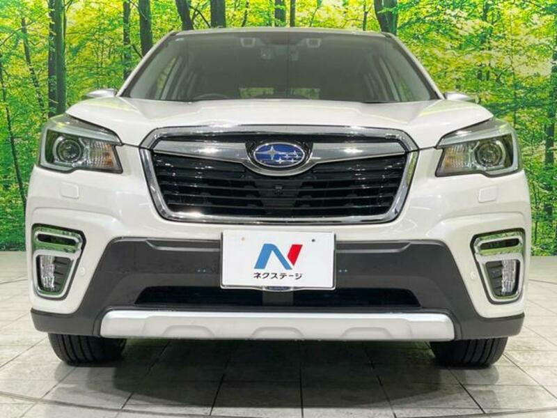 FORESTER-14