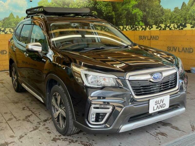 FORESTER
