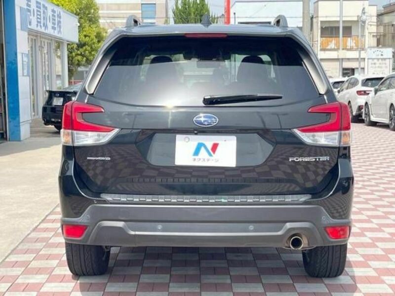 FORESTER