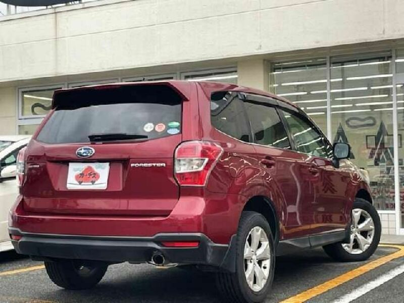 FORESTER-2