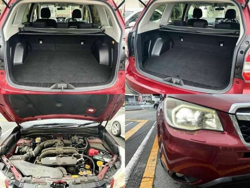 FORESTER-4
