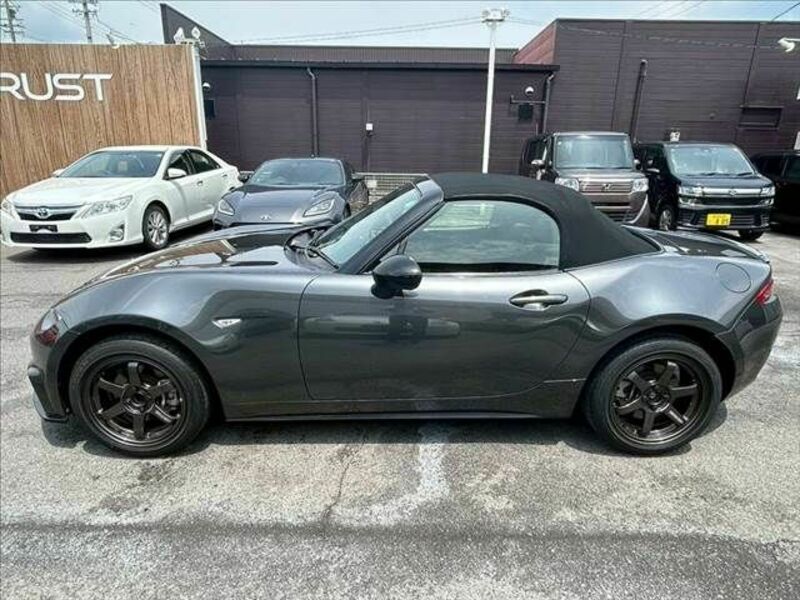 ROADSTER-17