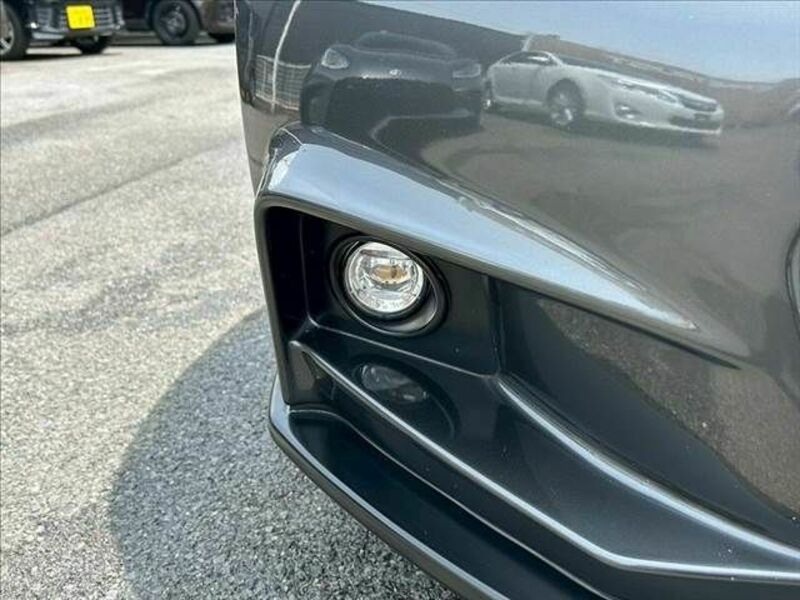 ROADSTER-21