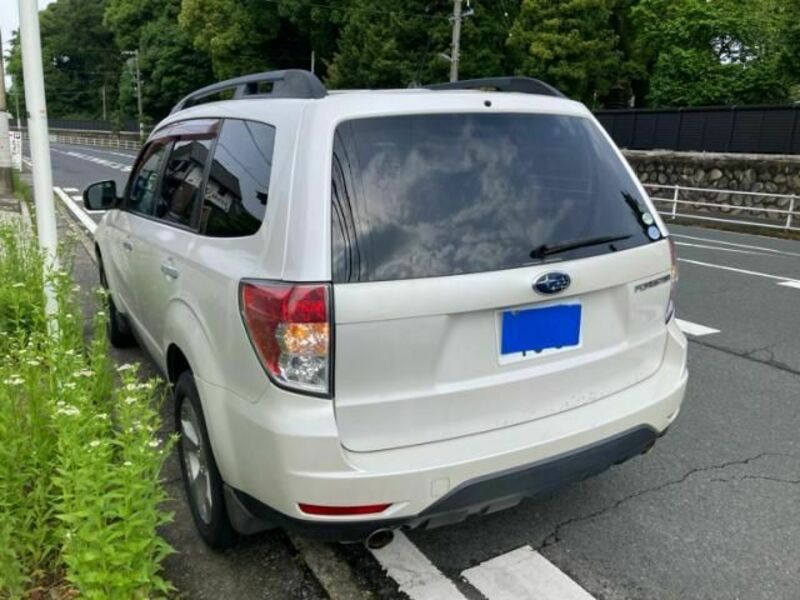 FORESTER-3