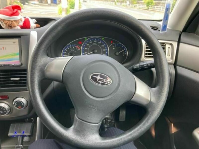 FORESTER-17