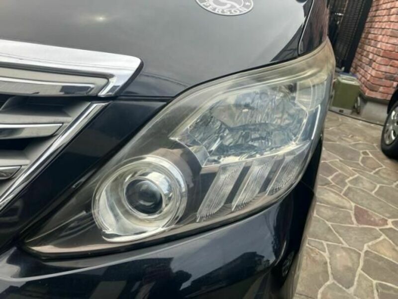 ALPHARD-13