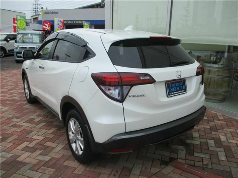 VEZEL-1