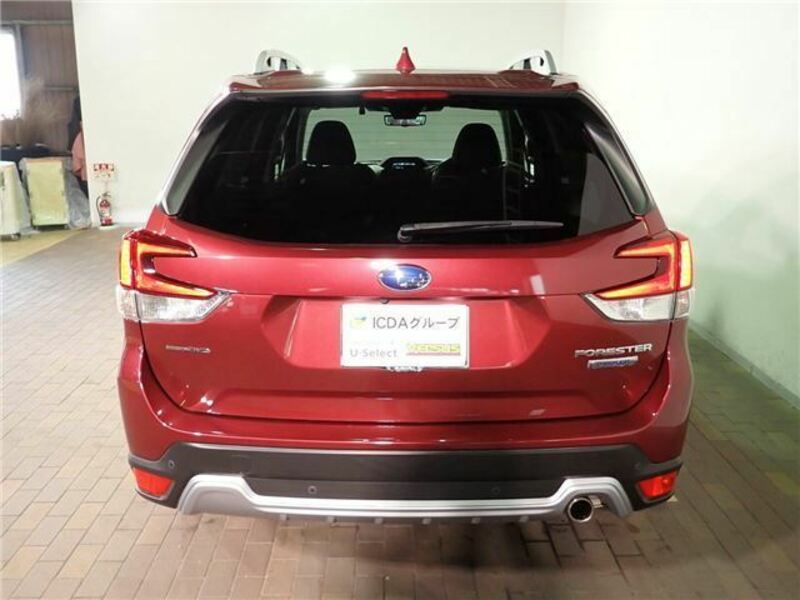 FORESTER