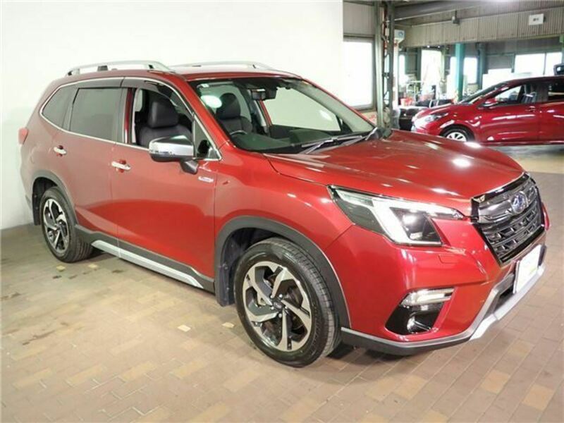 FORESTER