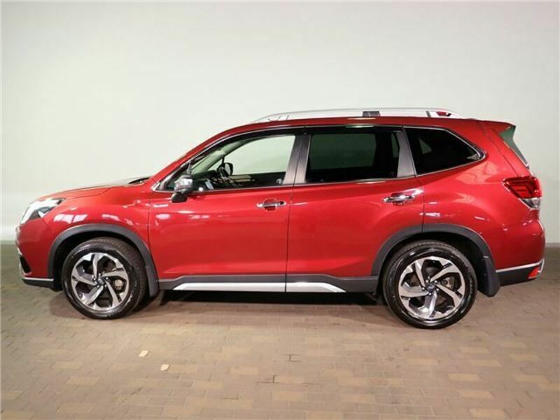 FORESTER