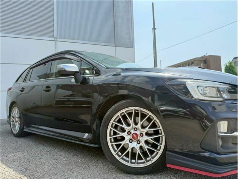 LEVORG