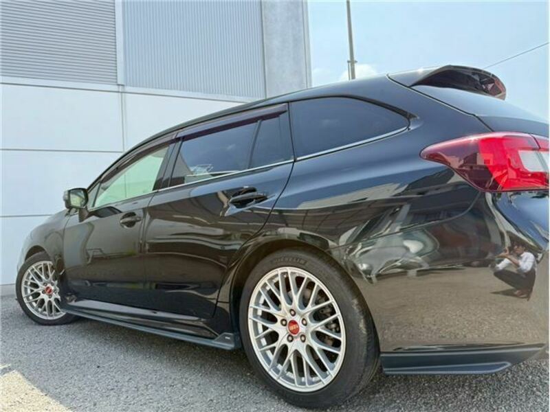 LEVORG