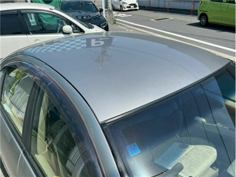 BLUEBIRD SYLPHY