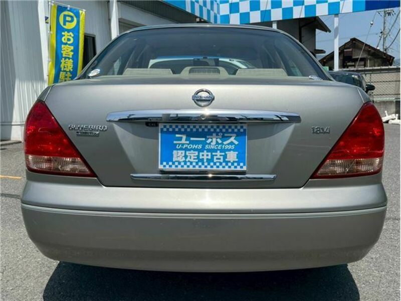 BLUEBIRD SYLPHY