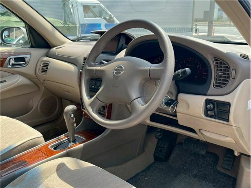 BLUEBIRD SYLPHY