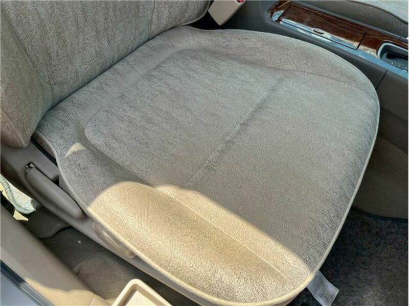 BLUEBIRD SYLPHY
