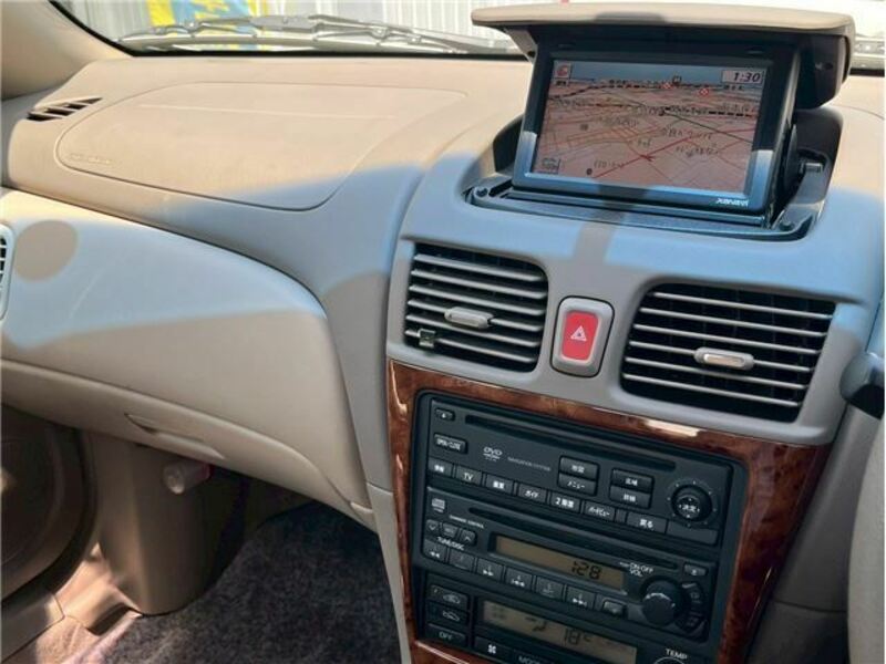 BLUEBIRD SYLPHY