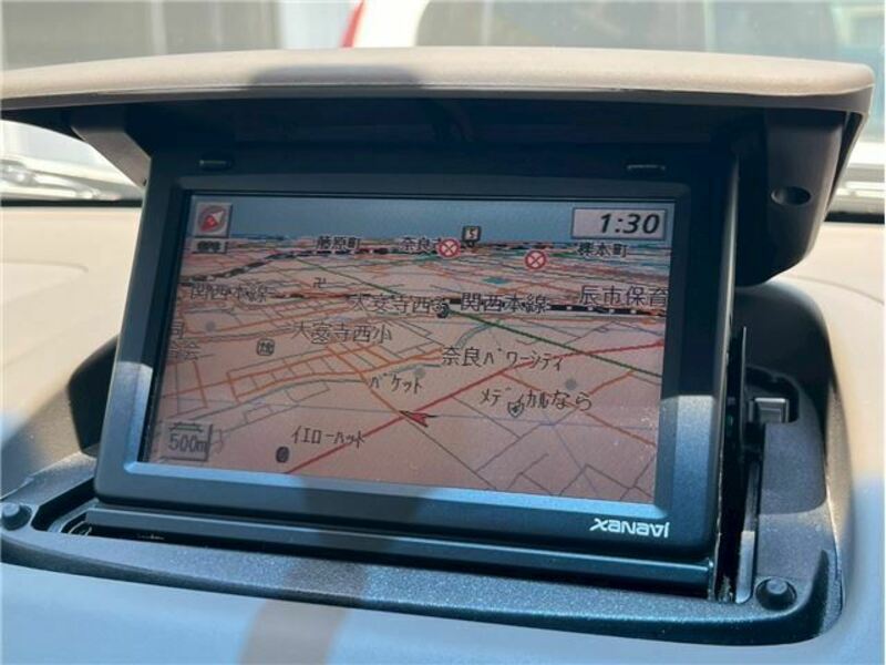 BLUEBIRD SYLPHY
